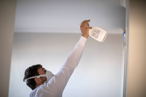 Best Emergency Mold Removal  in Yazoo City, MS