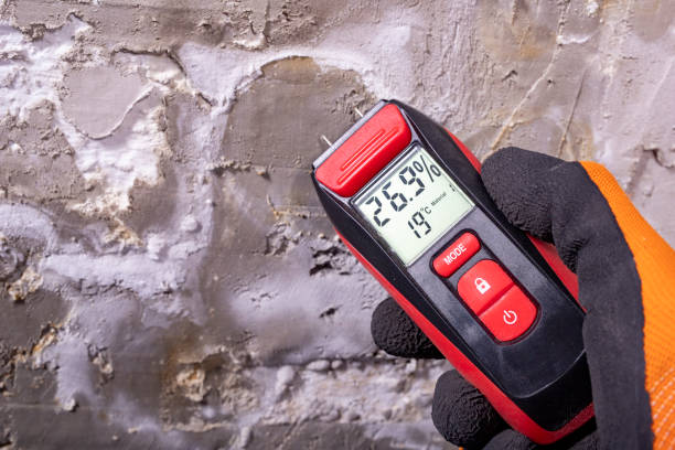 Best Affordable Mold Removal  in Yazoo City, MS