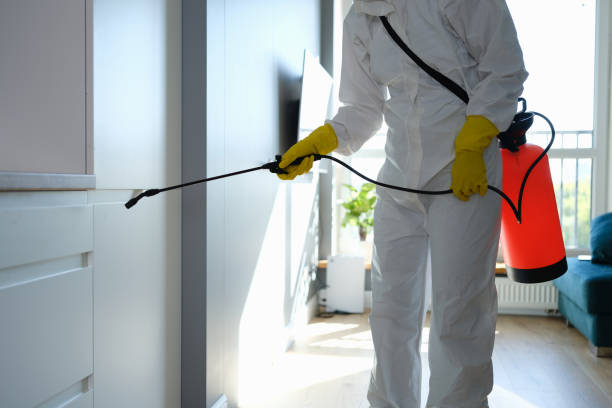 Best Certified Mold Removal  in Yazoo City, MS