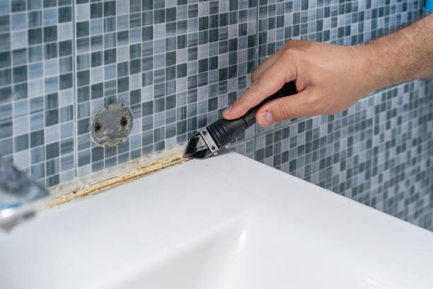 Best Emergency Mold Removal  in Yazoo City, MS