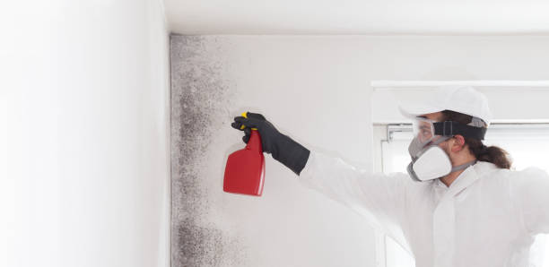 Best Crawl Space Mold Removal  in Yazoo City, MS