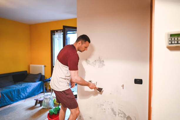 Best Mold Remediation  in Yazoo City, MS
